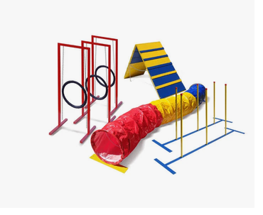 kit Playgound agility pet